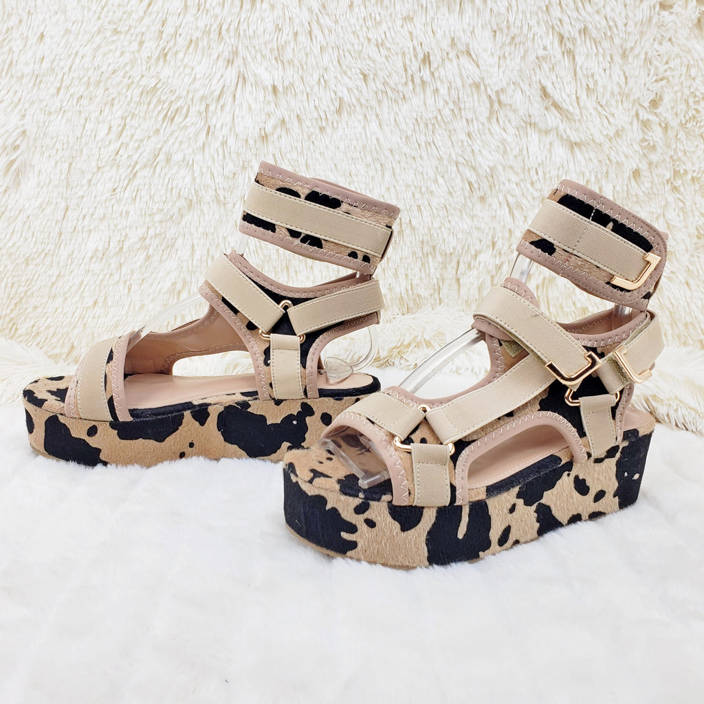 Chocolate Cow 2" Platform Harness Sandals - Totally Wicked Footwear