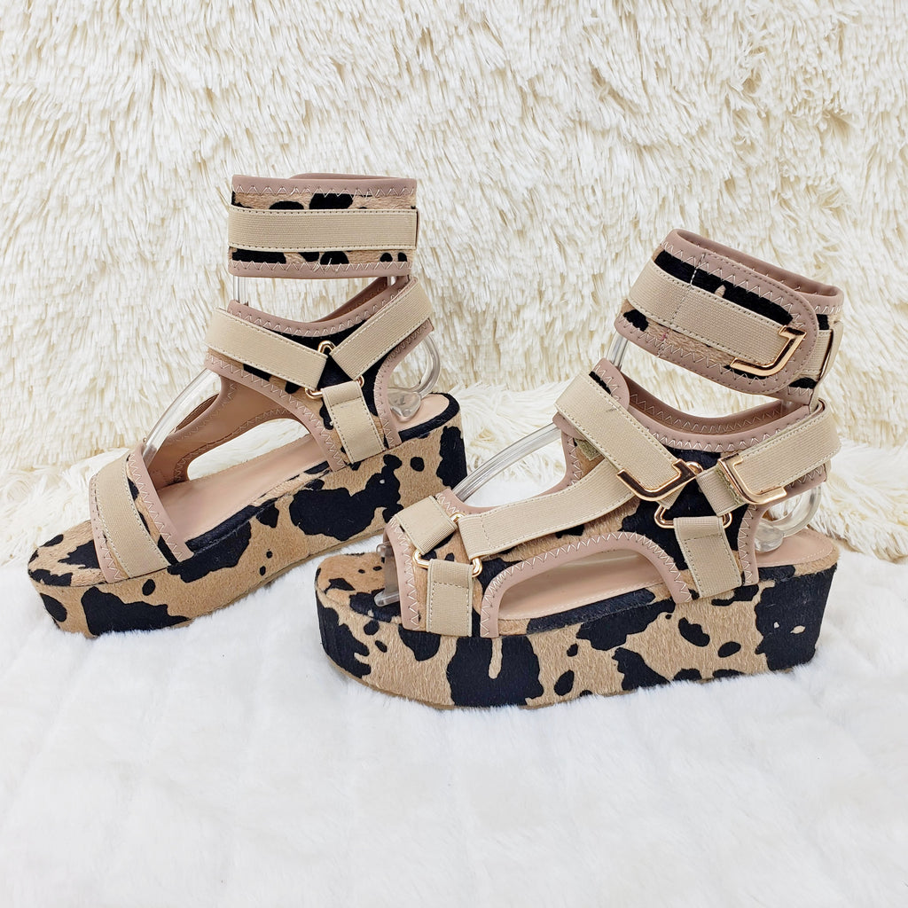 Chocolate Cow 2" Platform Harness Sandals - Totally Wicked Footwear